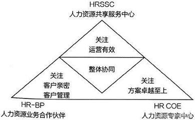 数字化时代下人力资源组织系统的演变与人力资源服务的转型升级