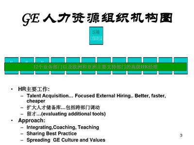 通用电气公司（GE）的人力资源管理组织体系与人力资源服务探析